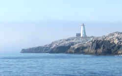Shelburne Harbour Boat Tours景点图片