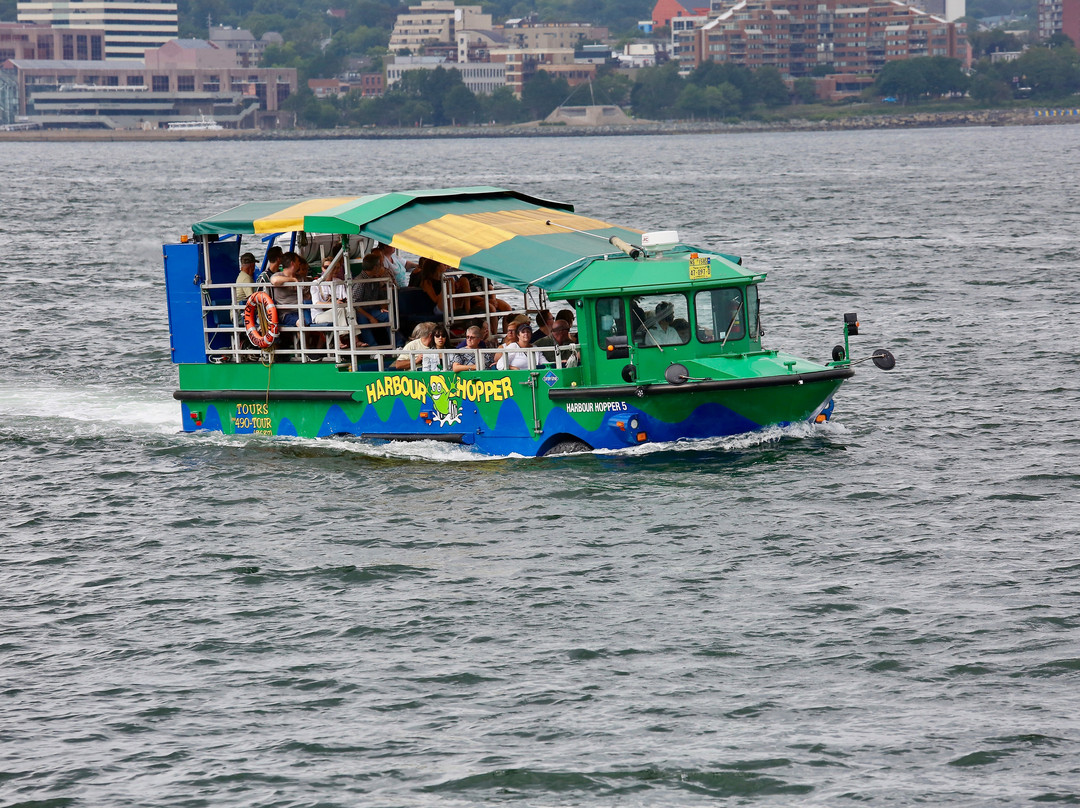 Harbour Hopper Tours