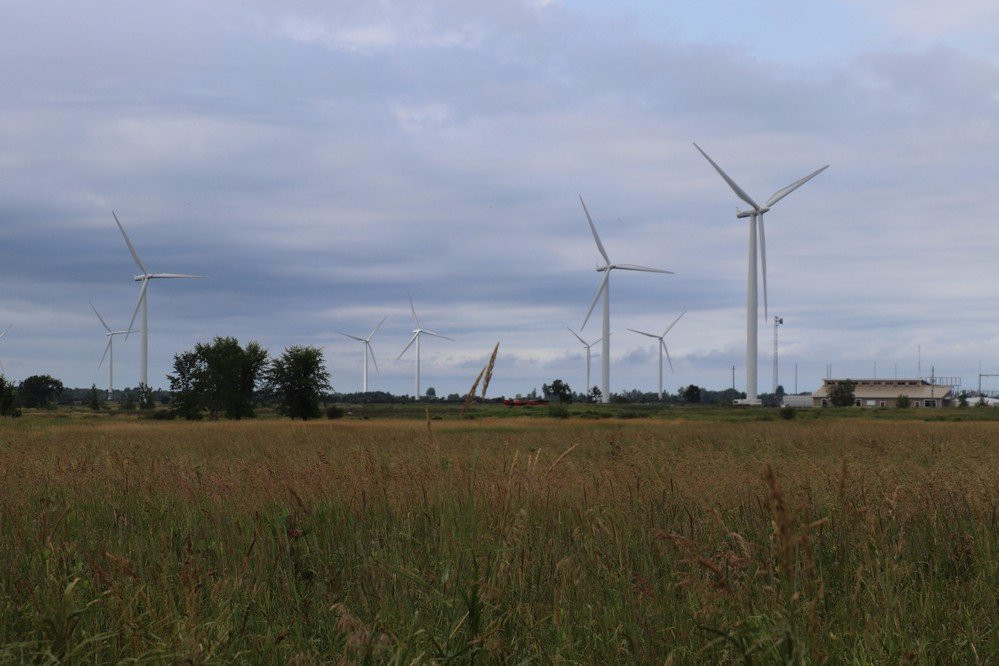 Wolfe Island Wind Farm景点图片
