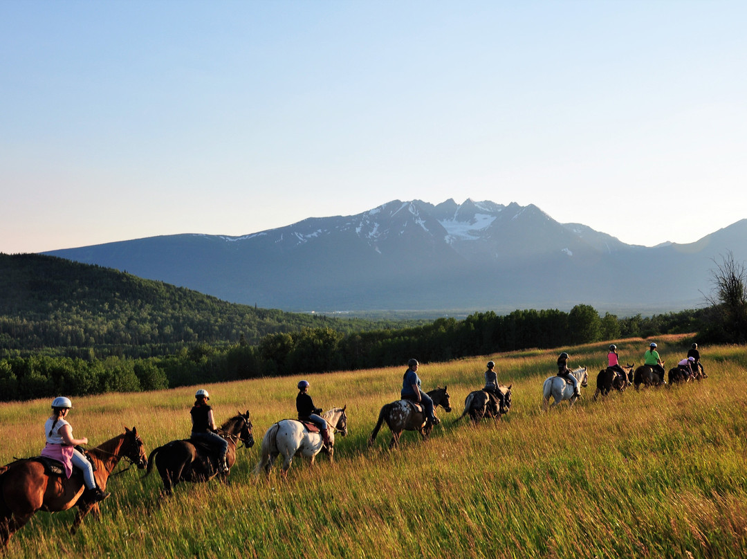 Mountain View Adventures景点图片