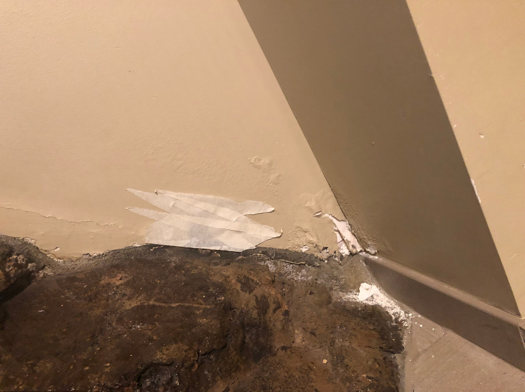 Quality Inn & Suites Houghton Downtown主图