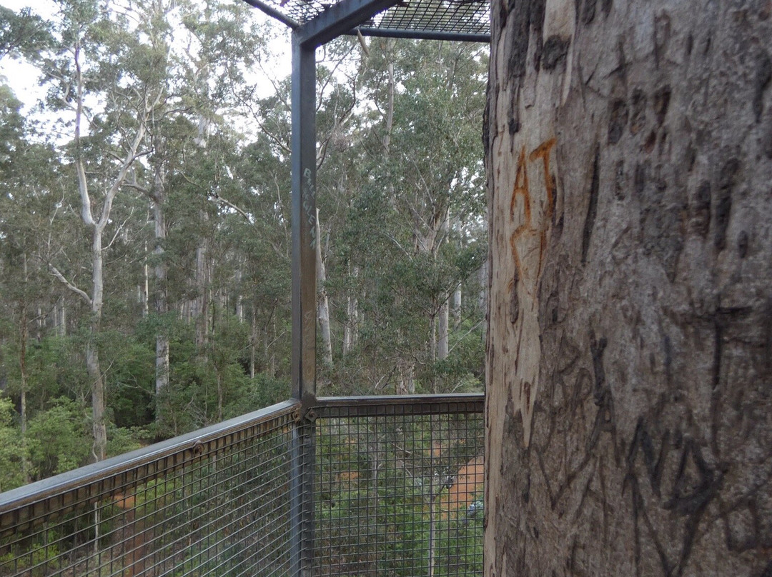 Warren National Park-彭伯顿必去景点