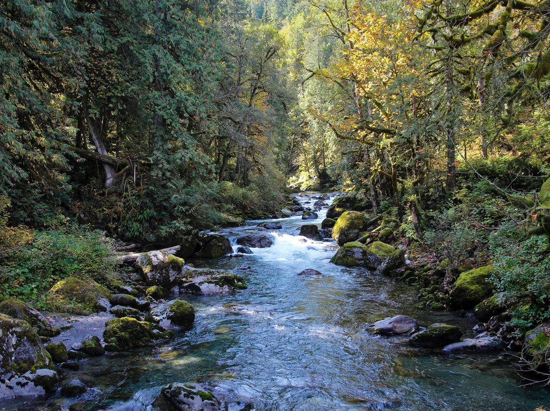 Fishtrap Creek Park景点图片