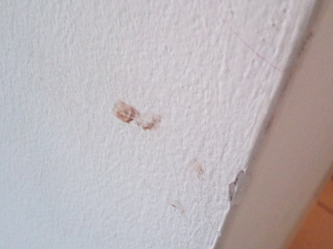 Hotel Terranova Suites主图