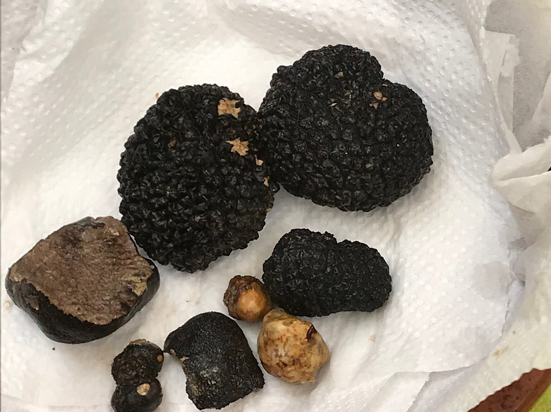 Umbria Goretti Private Day Tours-Pila必去景点