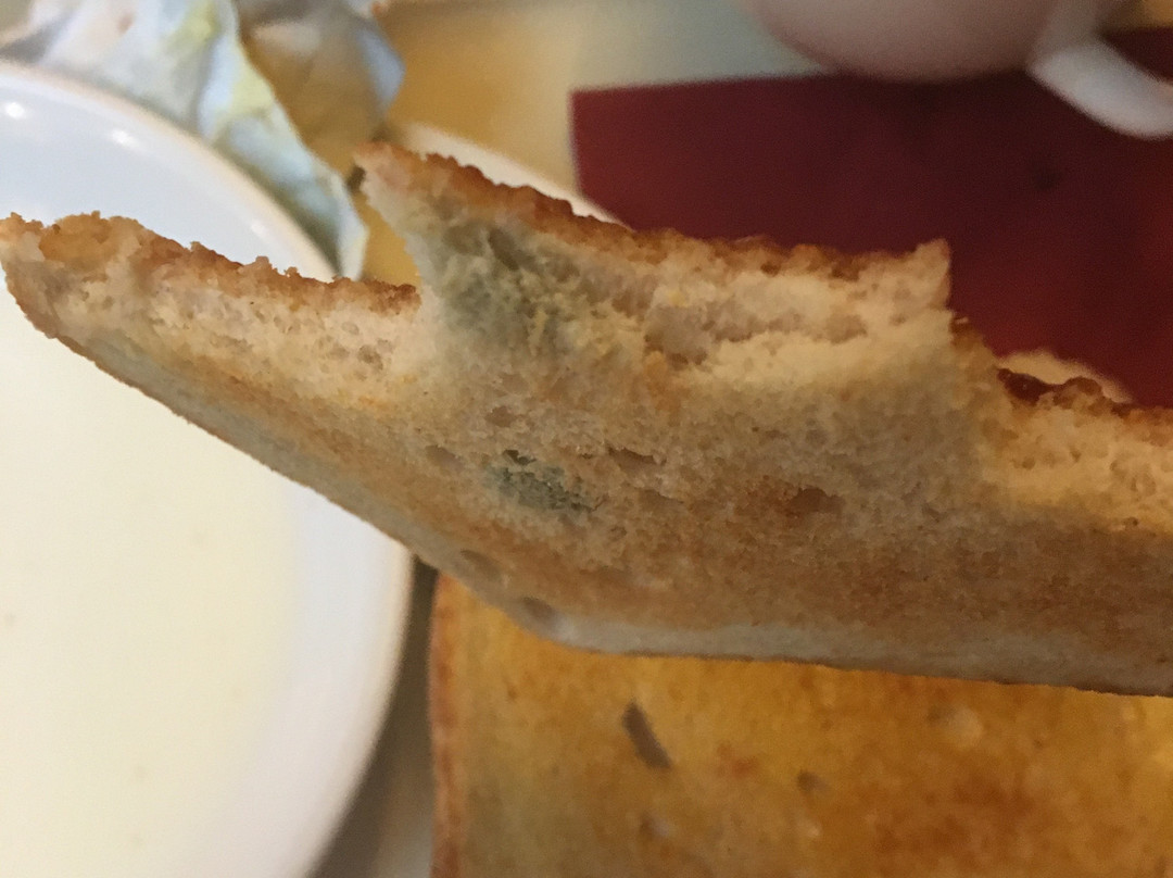 Newcastle Jesmond Hotel主图