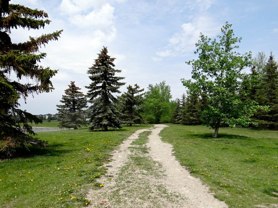 Elliston Park-卡尔加里必去景点