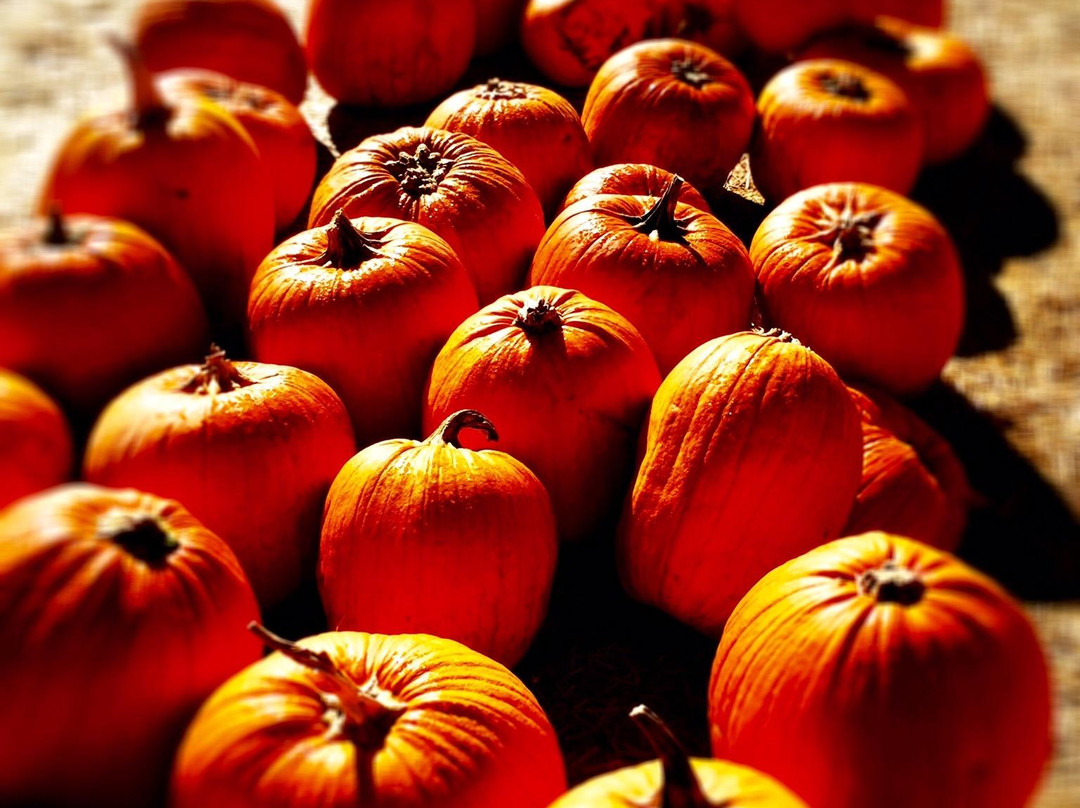 Larry's Produce-费尔菲尔德必去景点