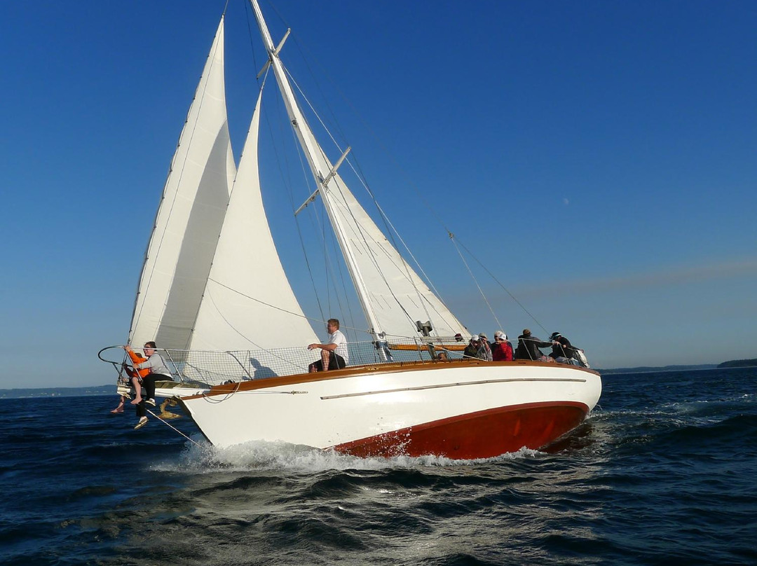 Seawulff Sailing Charter-汤森港必去景点