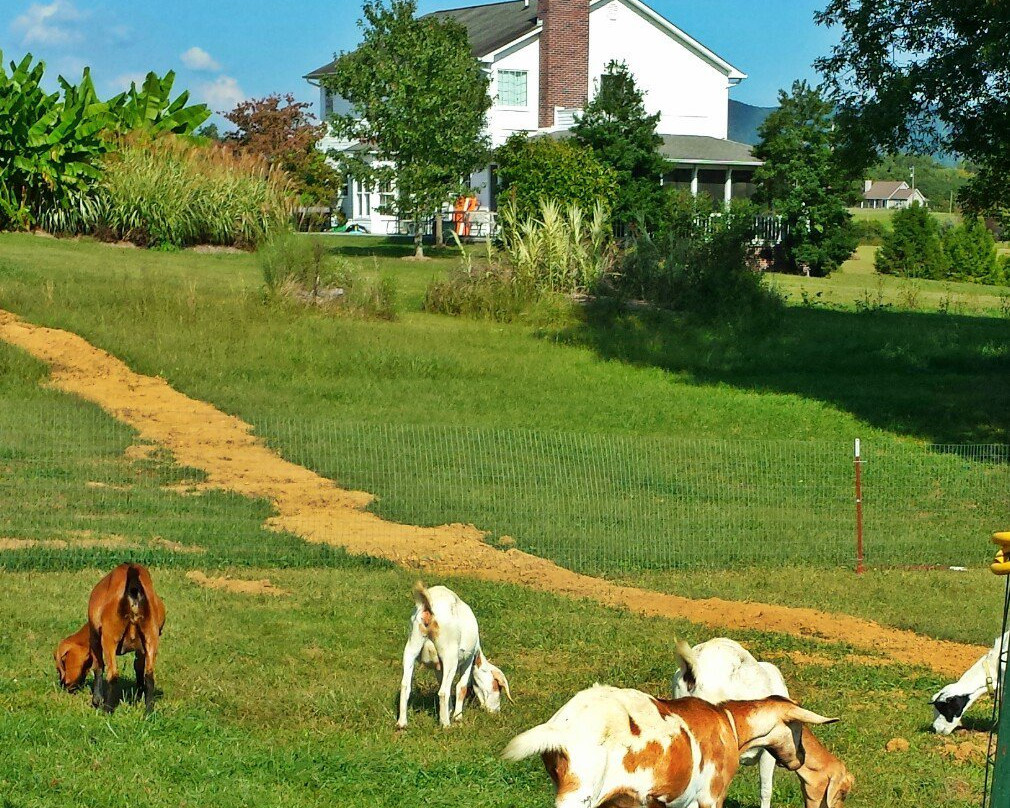 Oakes Farm Corn Maze
