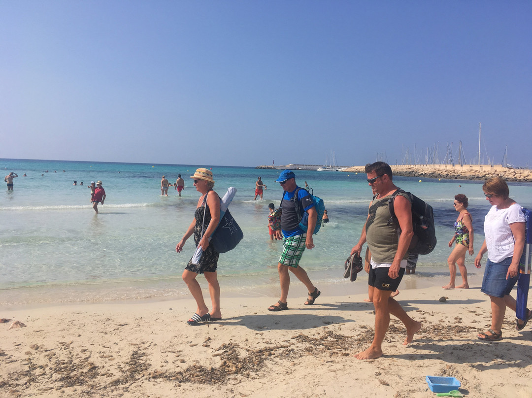 Playa de Sa Rapita-Campos必去景点