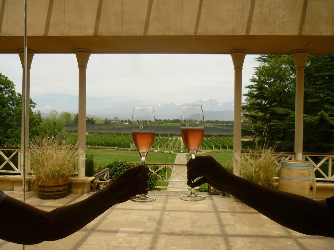 Vendimia Wine Tours-门多萨必去景点