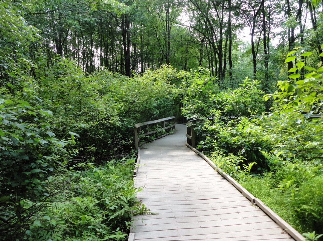 Churchville Nature Center景点图片