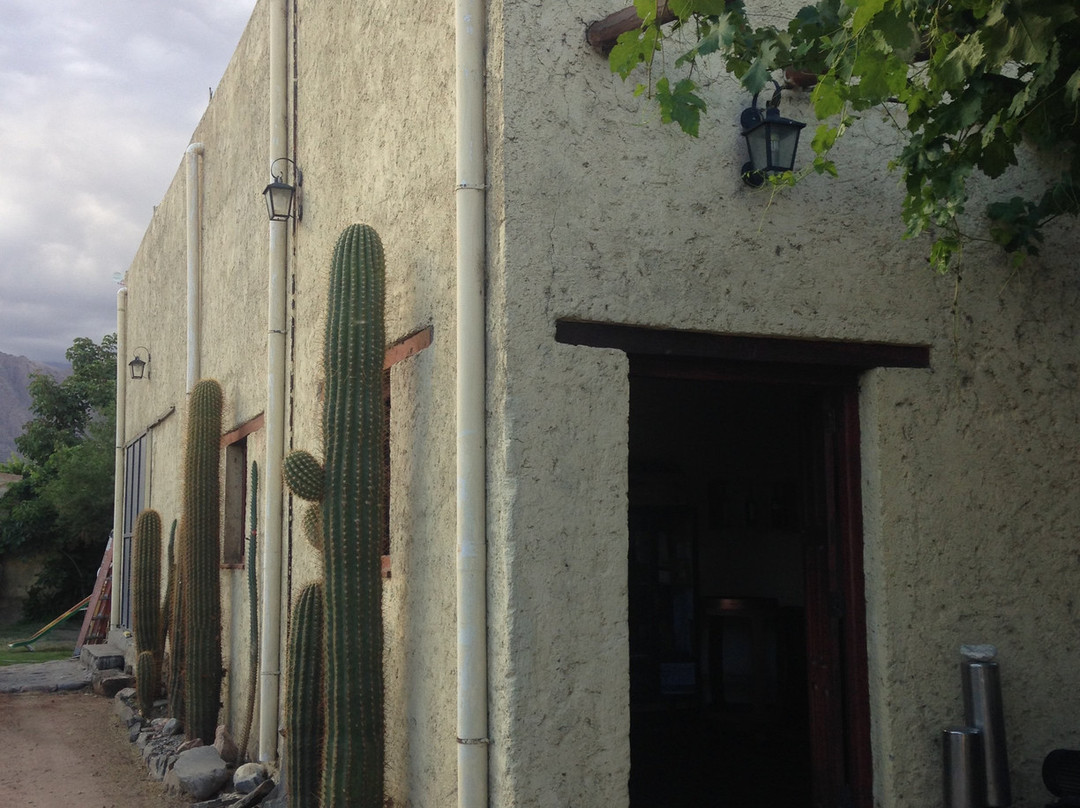 Bodega Salvador Figueroa-卡法亚特必去景点