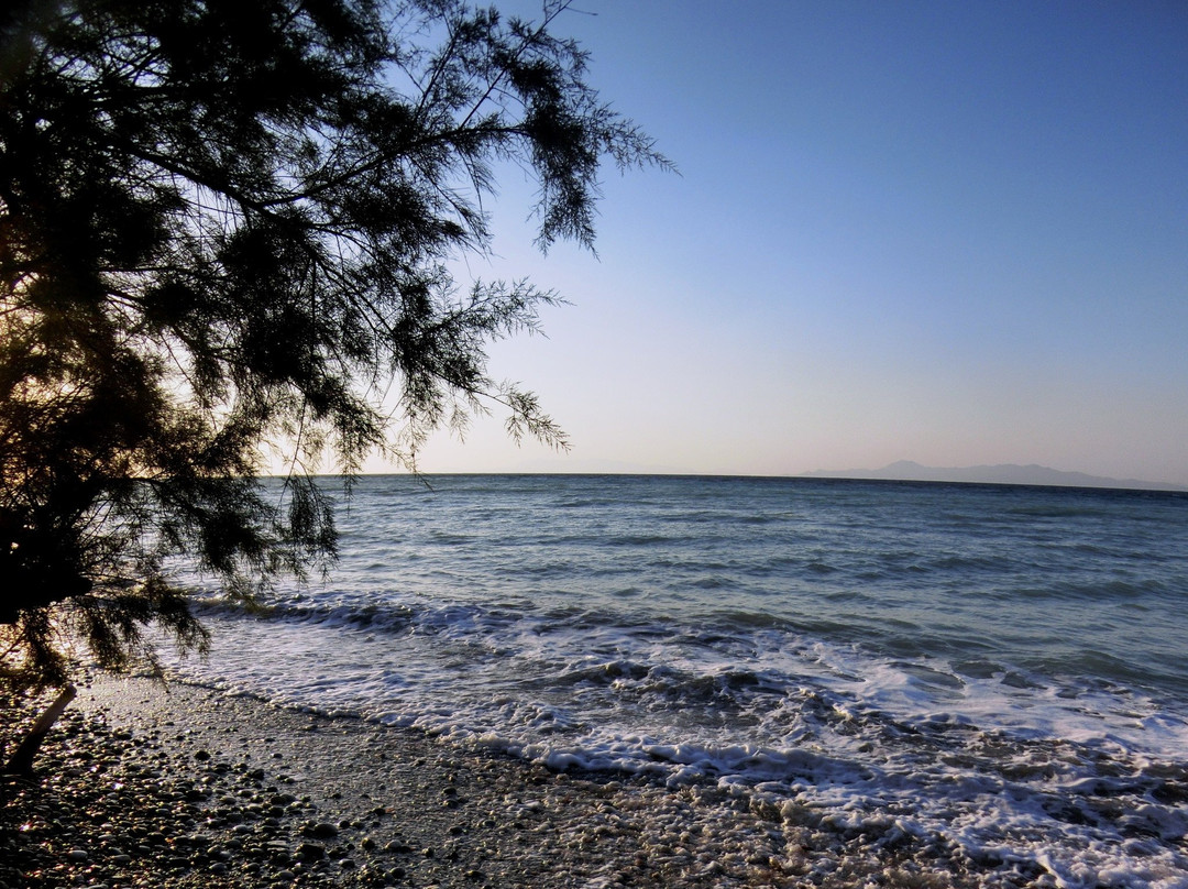 普莱海滩酒店主图
