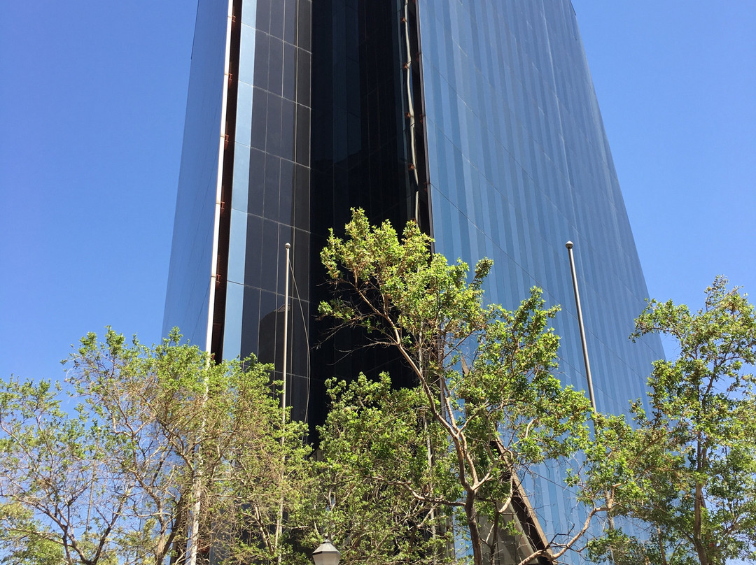 MTM Travel & Tours景点图片