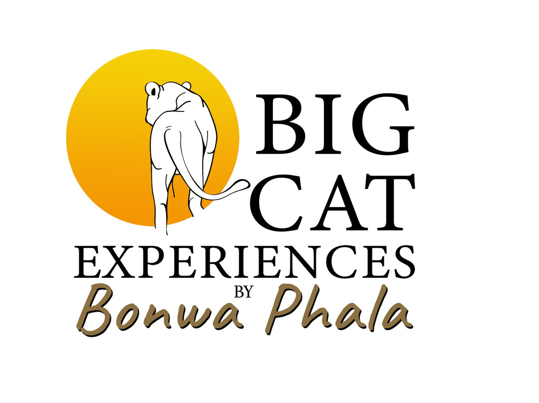 Big Cat Experiences景点图片
