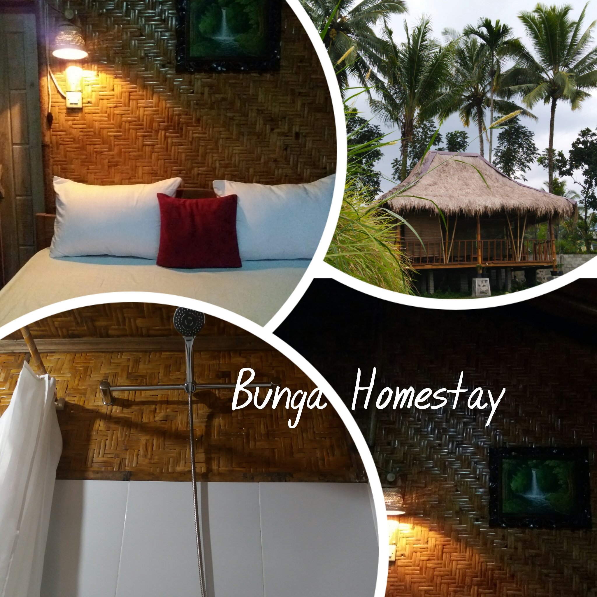 Bunga Homestay-官方