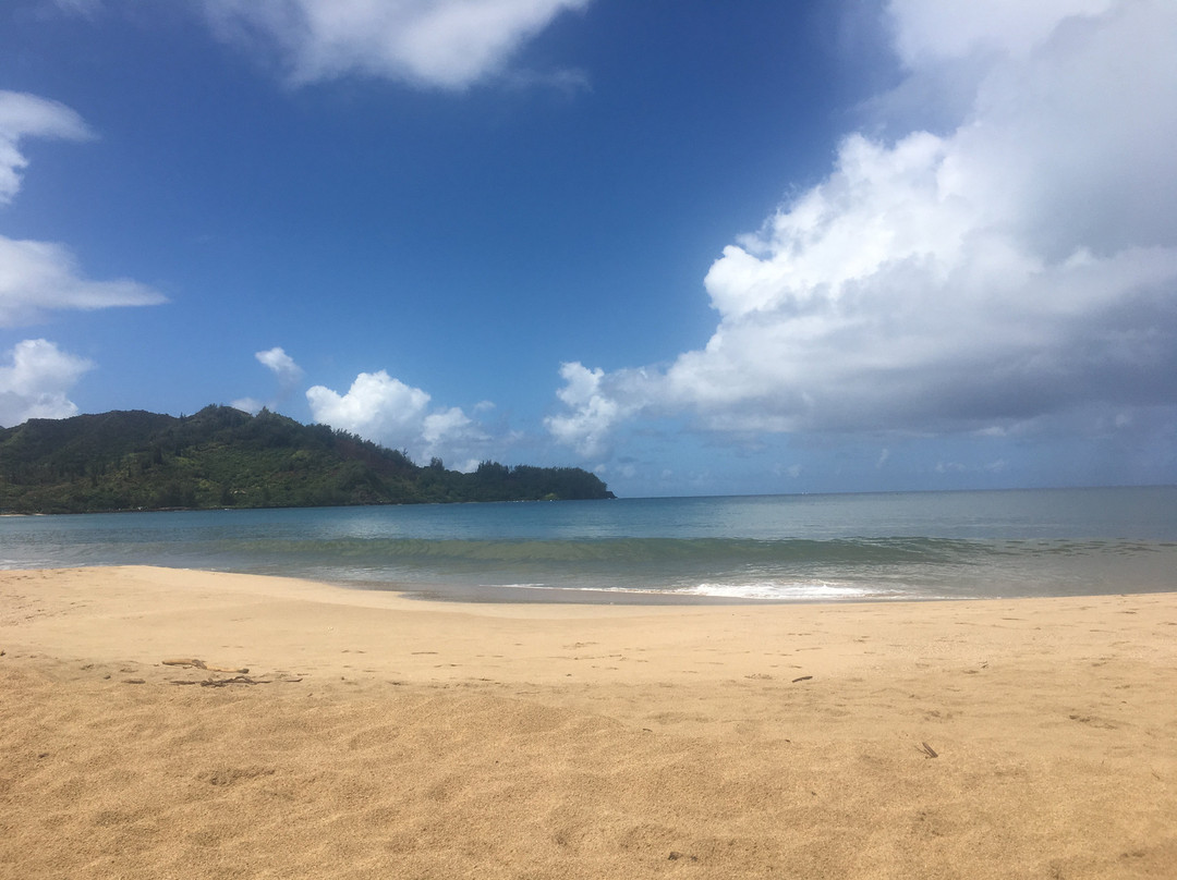 Hanalei Surfboard House主图