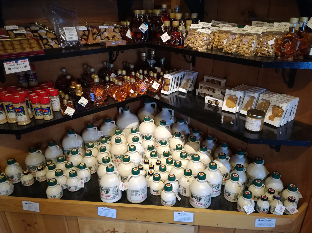 2023年12月Moulton Farm景点攻略Moulton Farm门票预订地址图片Moulton Farm景点点评猫途鹰