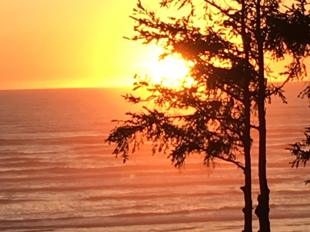 Ocean Crest Resort主图