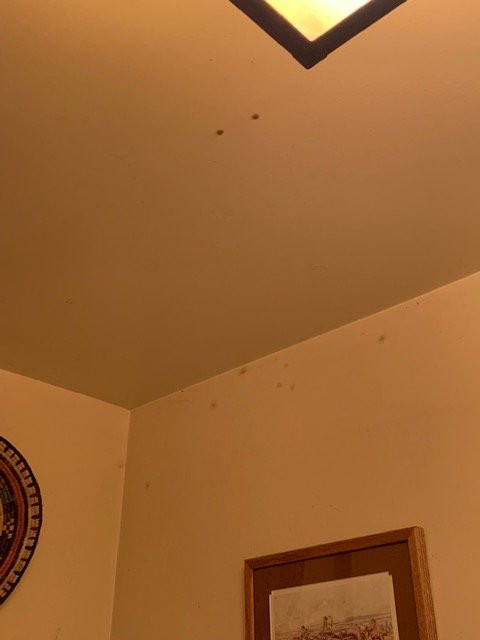 Lone Mountain Ranch主图