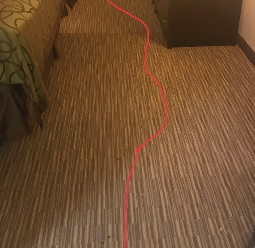 Days Inn By Wyndham Round Rock主图