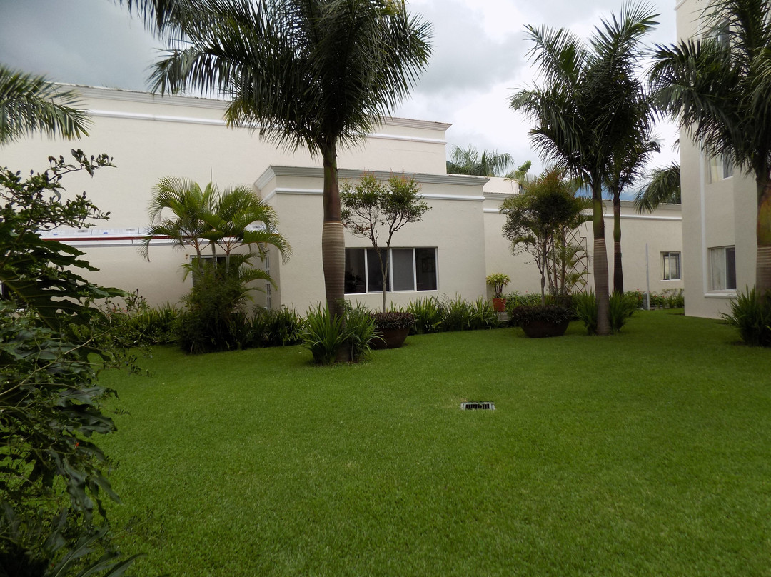 Hotel Las Palomas Express主图