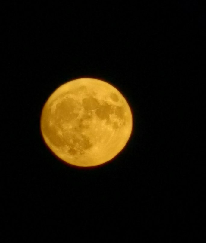 Anastazia Hotel主图