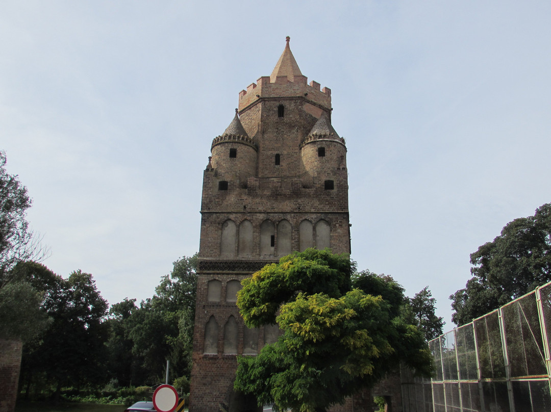 St. Mary's Church in Chojno景点图片