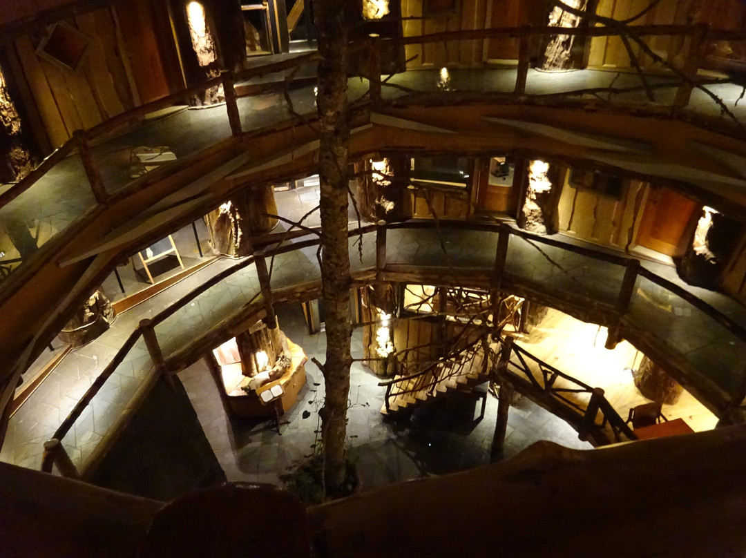 Huilo Huilo Nothofagus Hotel主图