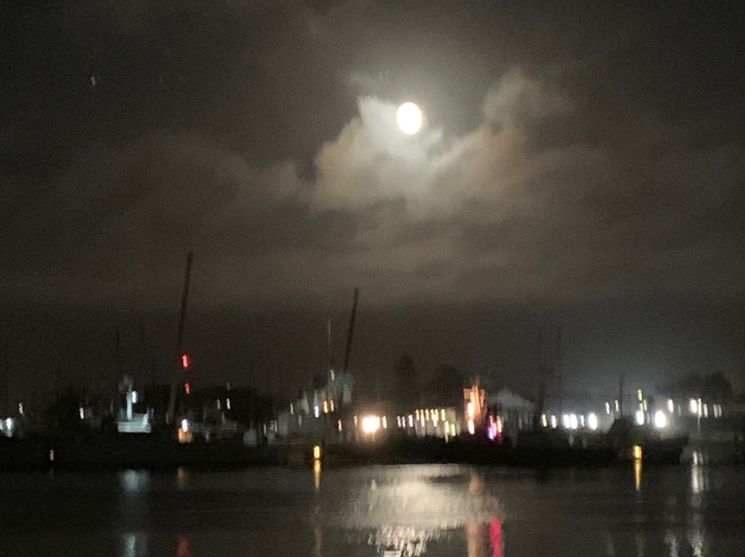 Humboldt Bay Harbor Cruise - Madaket景点图片