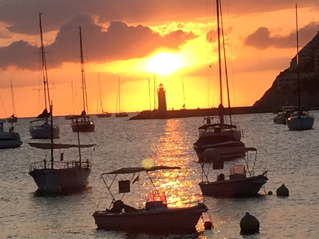 Prima Boats-Port d'Andratx必去景点