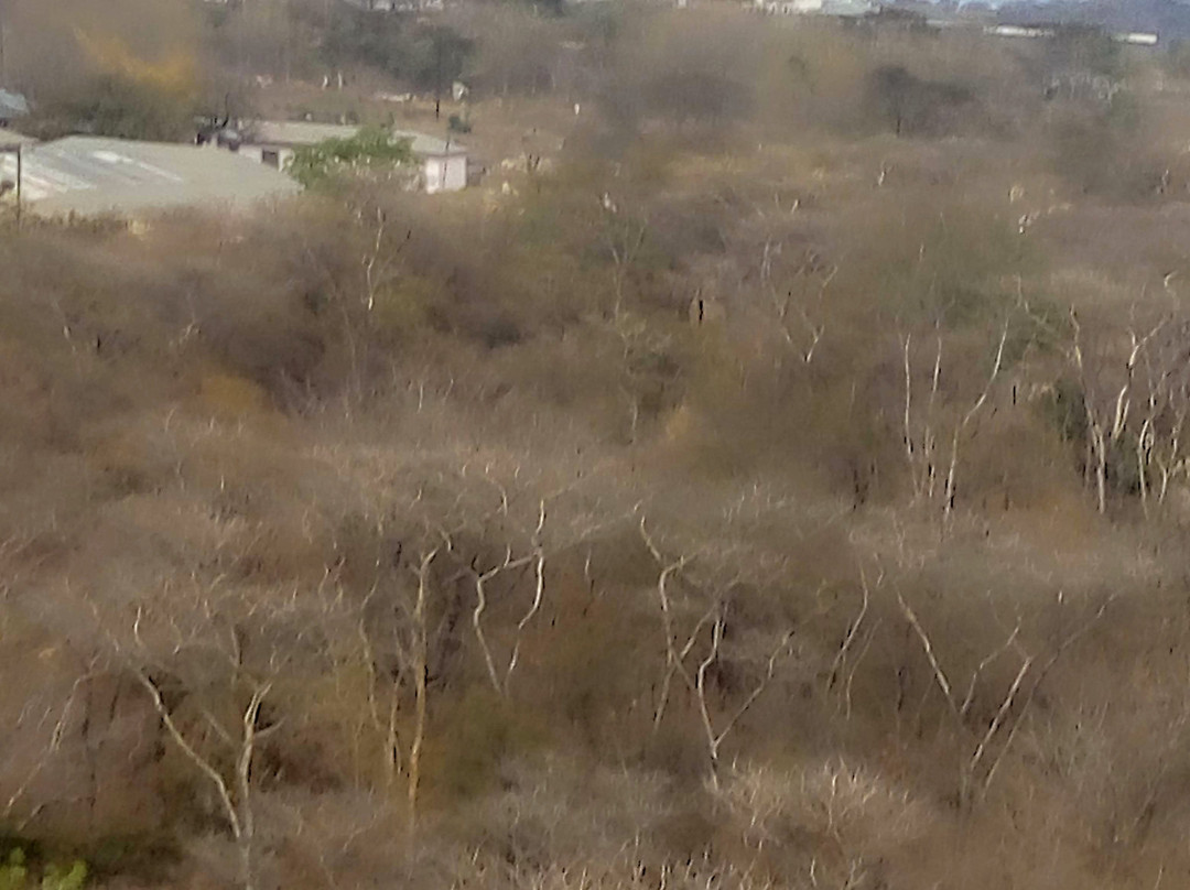 World War I Memorial-里朗威必去景点