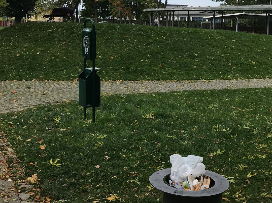 Spielplatz Stadtpark Falkenstein Vogtl景点图片