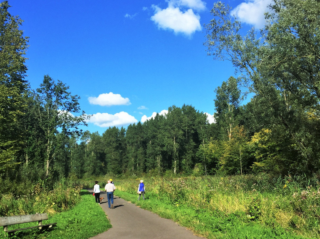 Visitorscenter Biesbosch Dordrecht景点图片