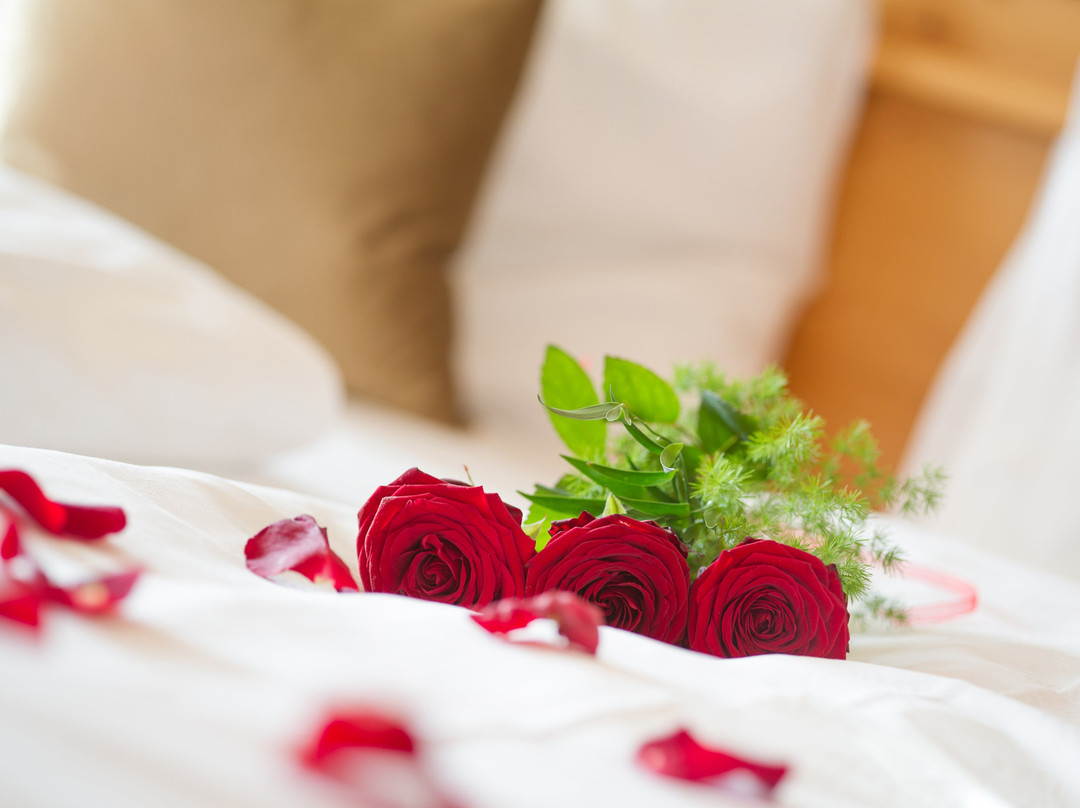 Panorama Tramin主图