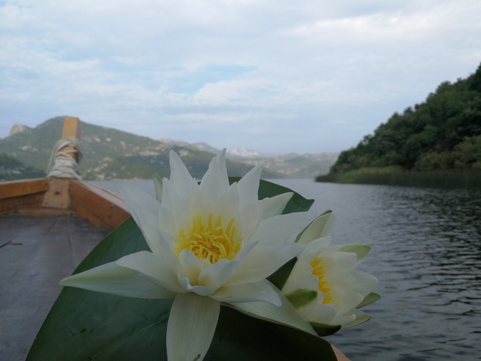 VIR TRAVEL-维尔巴札拉必去景点