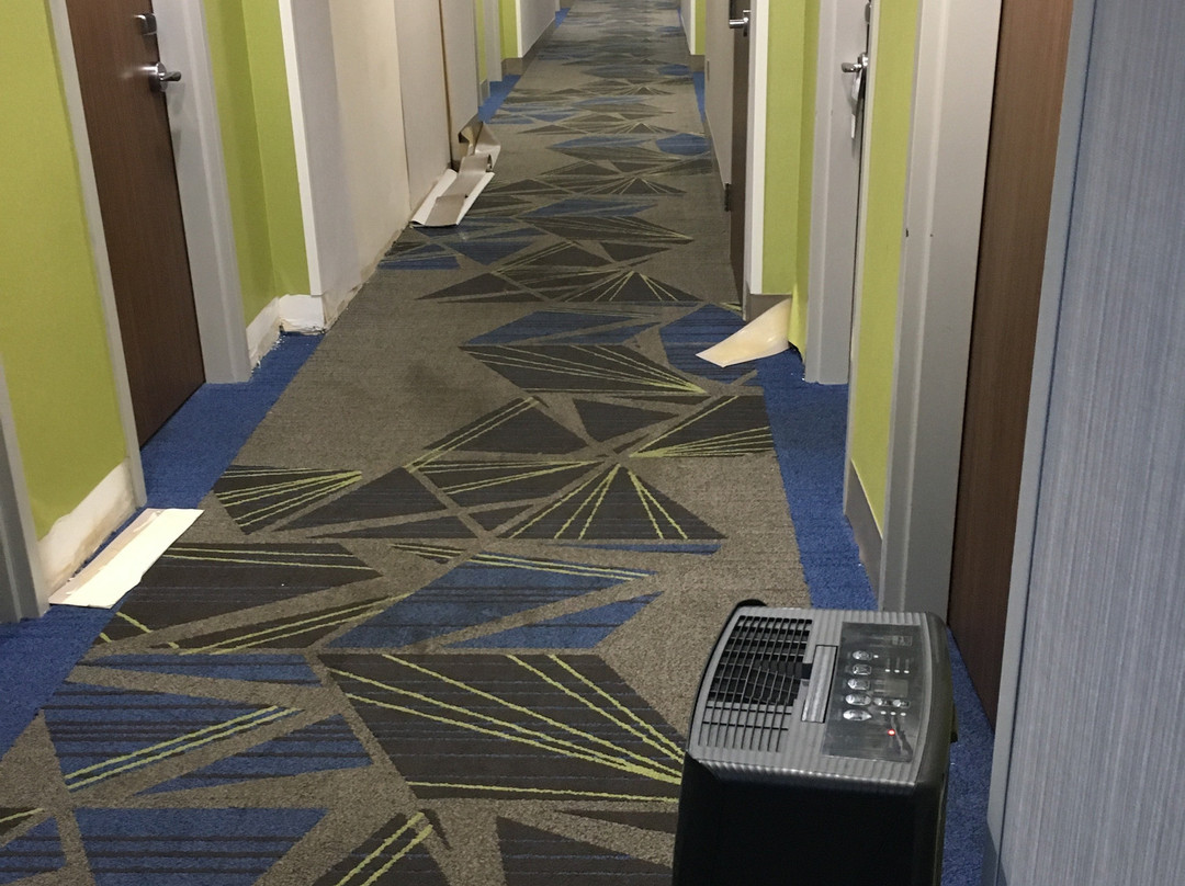 Holiday Inn Express & Suites Memphis Southwind by IHG主图