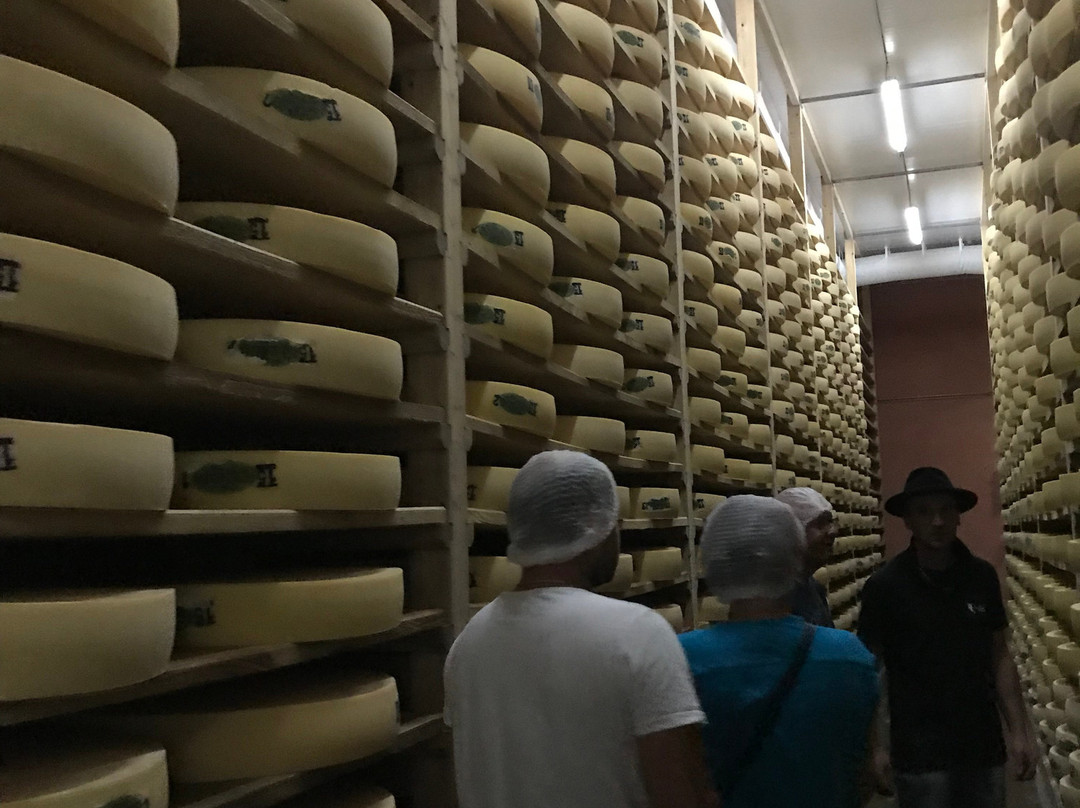 Fruitière Les Fins Comté-Les Fins必去景点