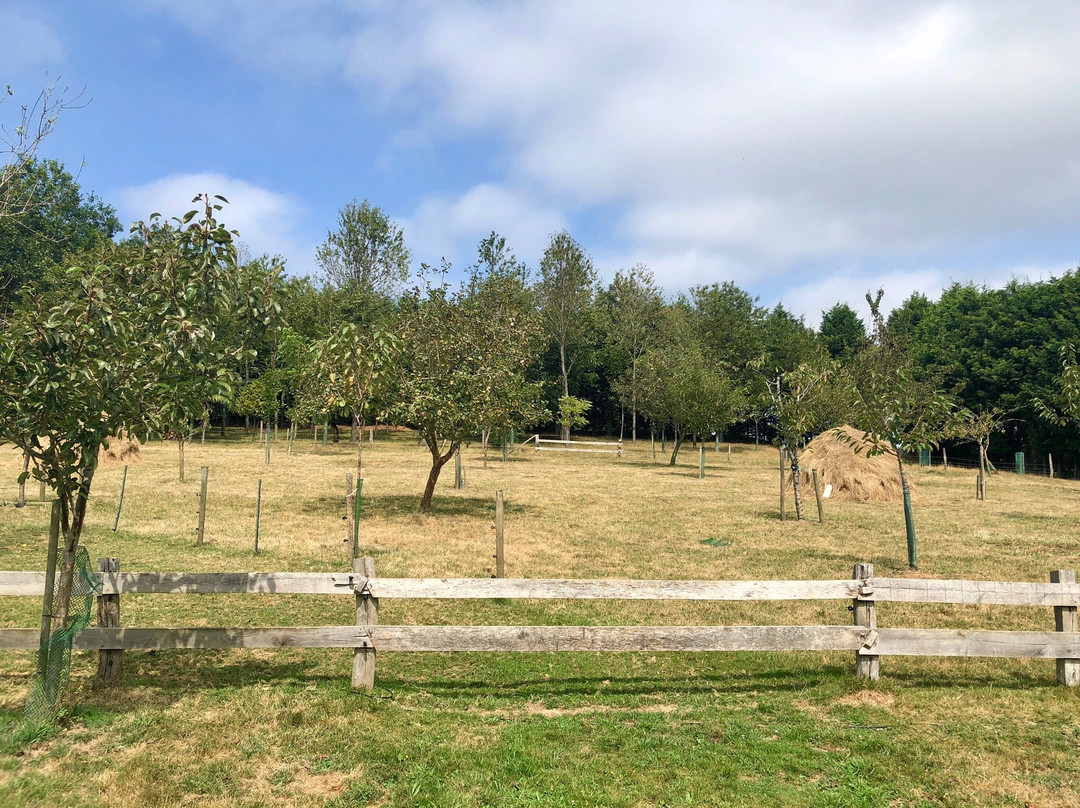 Casa Rural Vila Pomar主图