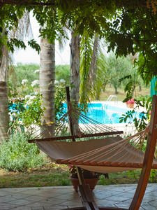 Casa Degli Ulivi主图