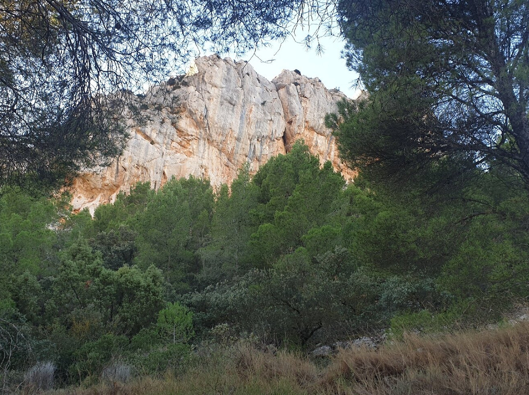 Cresta De La Foradá