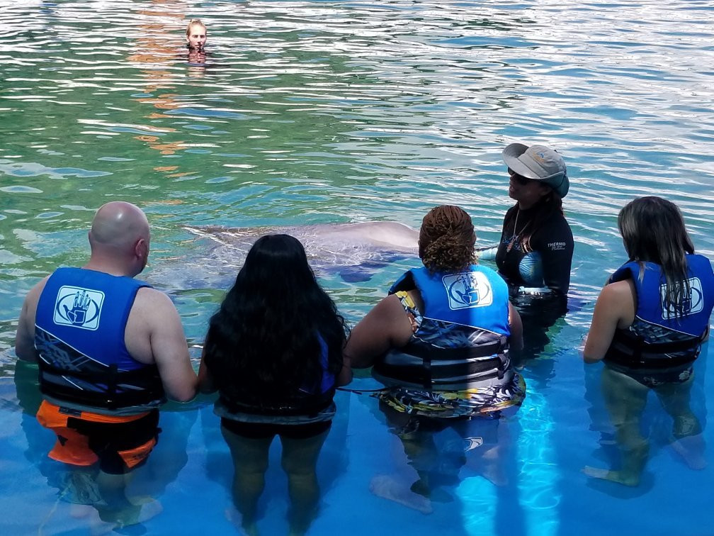 Sea Life Park Animal Encounters-威玛纳诺必去景点