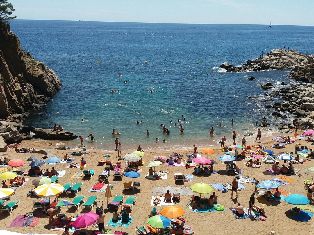 Platja d’es Codolar景点图片