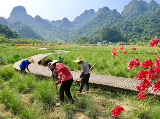 盈香生态园-佛山市必去景点