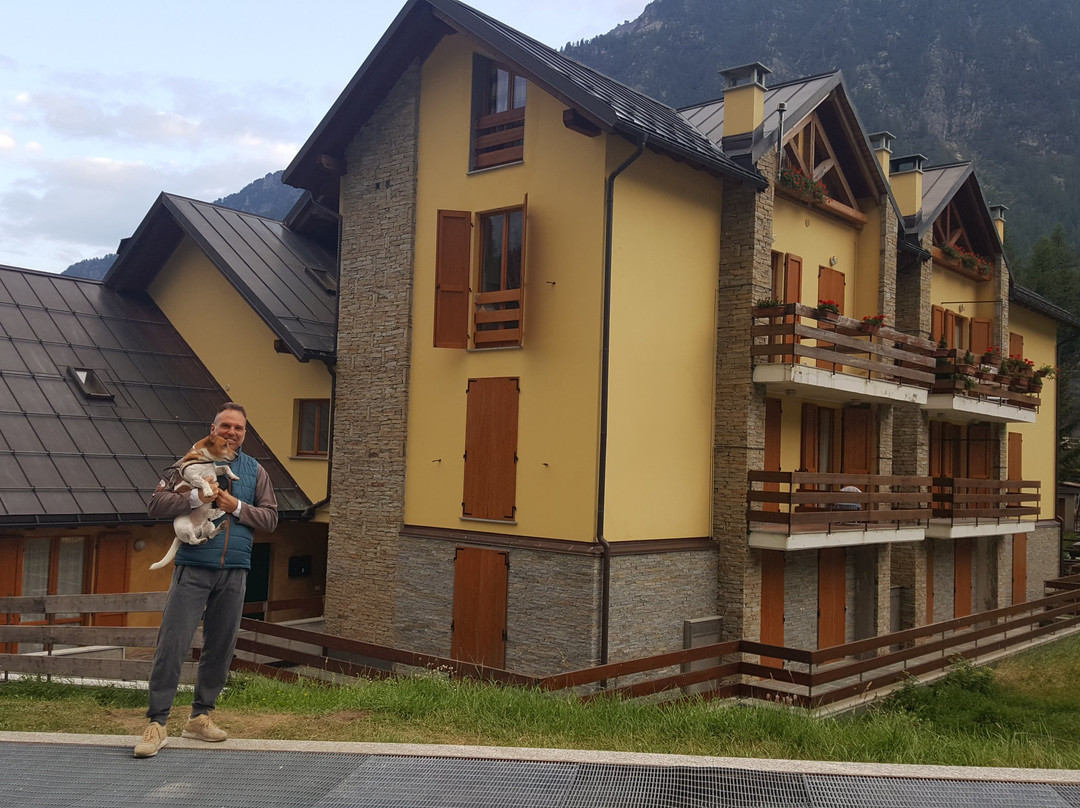 B&B Cistella