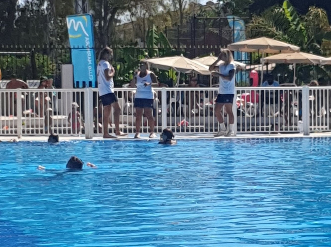 Globales Pueblo Andaluz主图