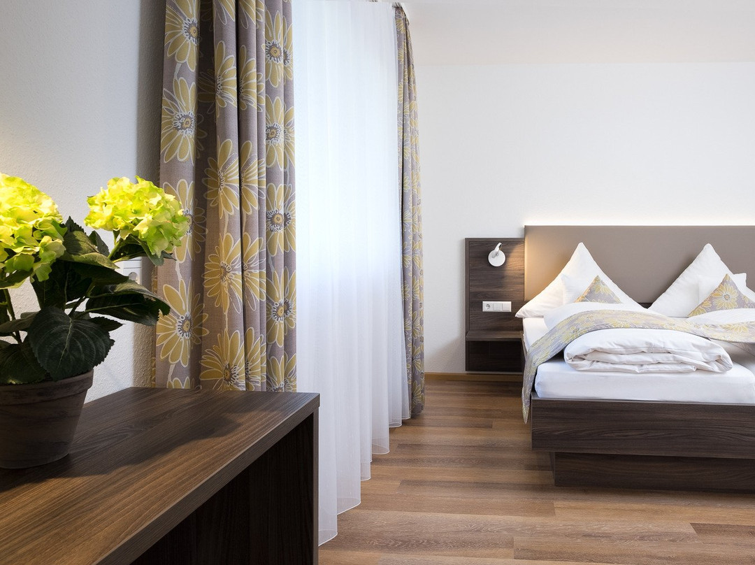 Gästehaus Panorama主图