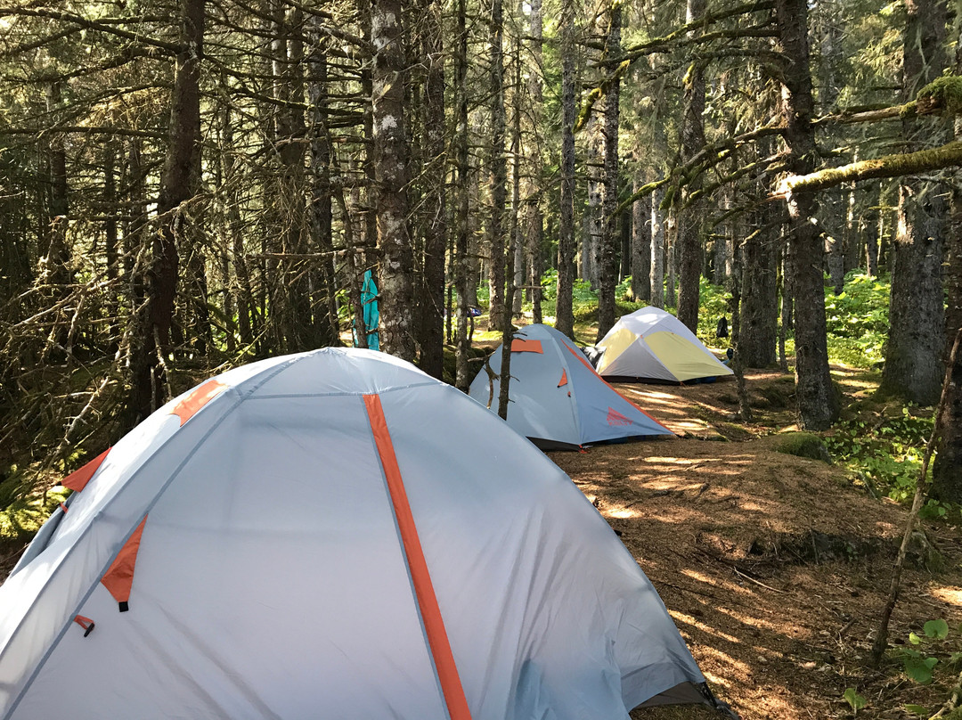 Spirit Walker Expeditions - Day Tours-古斯塔夫斯必去景点